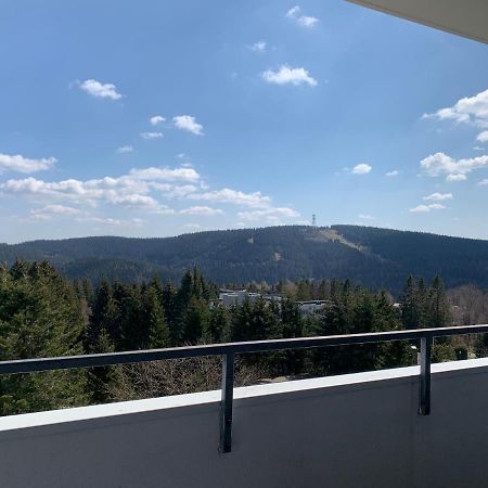 גוסלר Ferienwohnung Traumausblick Hahnenklee מראה חיצוני תמונה